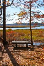 View of bench and lake